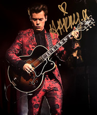 HARRY STYLES 8x10 pollici
