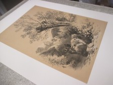 James Duffield Harding