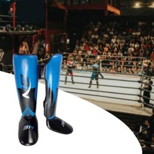 Parastinchi Muay Thai Arti