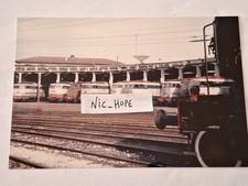 Fotografia Deposito Locomotive con vari Locomotori Elettrici 646, 428, 444, 656