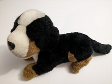 E&J Bernese Mountain Dog Mix