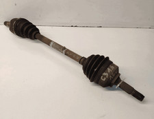 9638016980 Semialbero ant