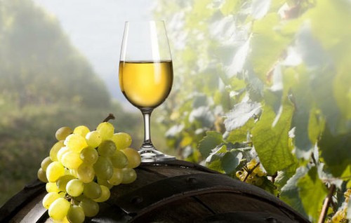 Vino bianco calabrese tavola - vino,