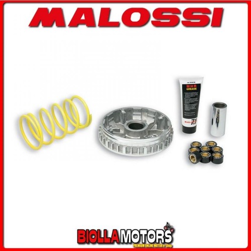 5111225 variatore malossi - variatore,