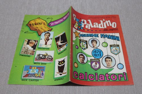 Paladino dei ragazzi - il,