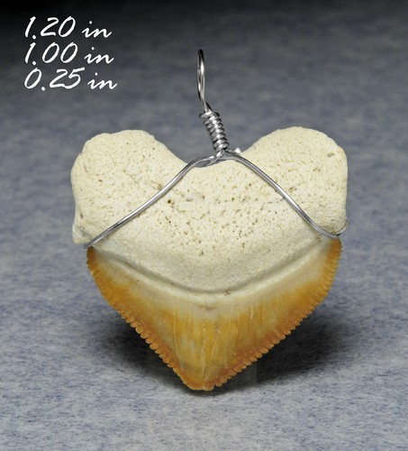 Dente squalo ciondolo atlas - dente,