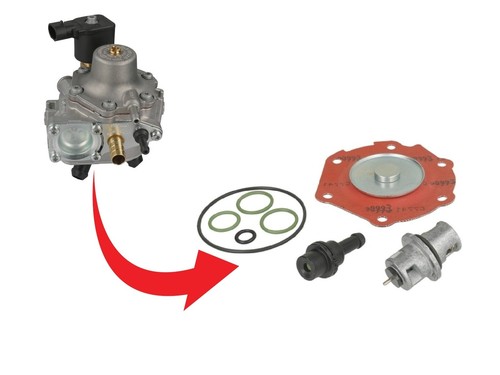 Kit revisione riduttore - revisione,