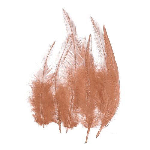 Pzas plumas gallo - de, de