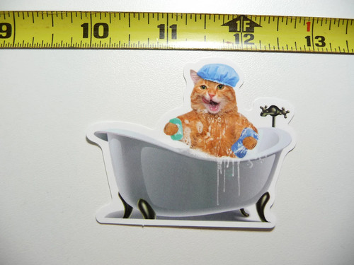 Bath time gatto piccolo - gatto,