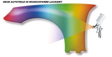 Parafango nel colore