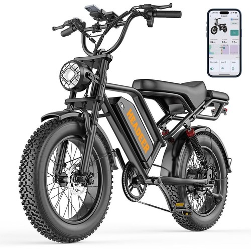 Bike fatbike pedelec - e-bike,