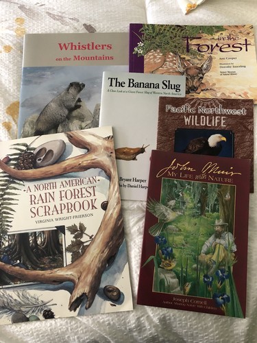 Children books us - children’s,