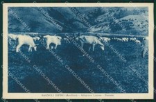 Avellino Bagnoli Irpino