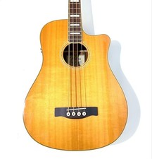 Chitarra elettrica acustica