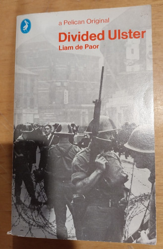 Libro romanzo davided ulster - romanzo,
