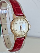 Levrette Donna Anni ‘50