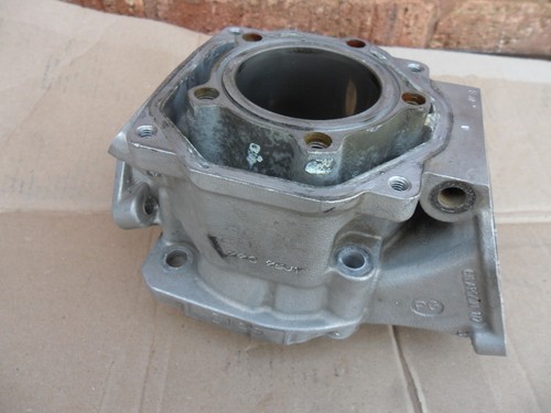 Rotax max mini - -, junior