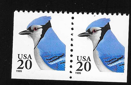Birds 2574 elu eru - 2574, 1995