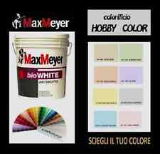 Pittura ANTIMUFFA MAXMEYER