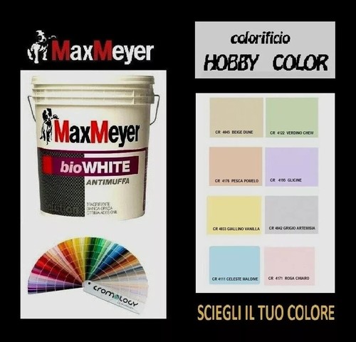 Pittura antimuffa maxmeyer - pittura,