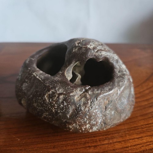 Pietra giapponese suiseki - pietra,