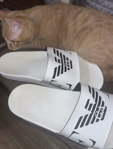 Ciabatte emporio armani - ciabatte,