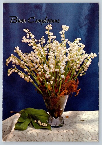 Buon compleanno - compleanno,,