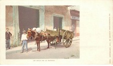 CUBA  un mulo de la Habana