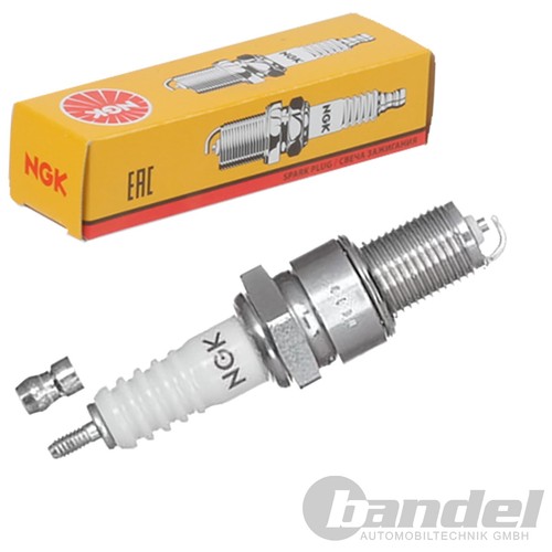 Candela ngk adatta per alfa - candela,