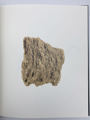Roni horn place lava 1st - to,
