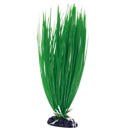 Amtra deko plant acorus - deko,