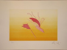 Luca ALINARI, Acquaforte Acquatinta 1990 cm. 70x50 (cm. 48,7x31,8) es: 90/150