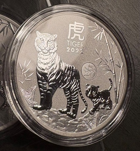 2022 the tiger with - tiger, dragon
