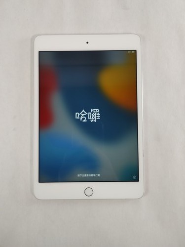 Apple ipad mini - apple, gen