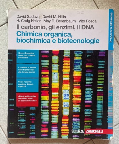 Carbonio gli enzimi - il, carbonio,