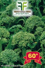 CIMA DI RAPA BROCCOLETTO RICCIO S.MARZANO SEMI  60GG/90GG/120GG GR.100-GR.500