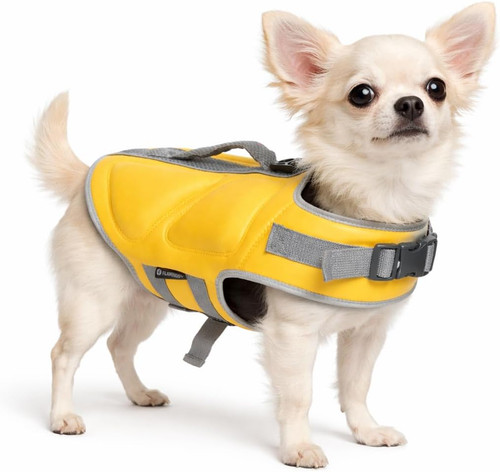 Salvagente cane giubbotto - cane,
