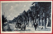 ????Rara - Moncalvo Asti Asino Tira un Carretto Movimentata anni ‘30/‘40