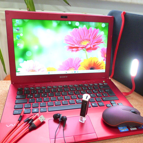 Netbook sony vaio - sb, 13