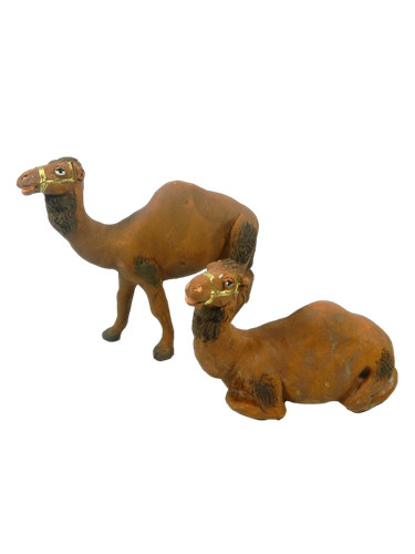 Dromedario terracotta per - in,