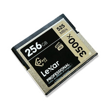Scheda di memoria Lexar 256GB