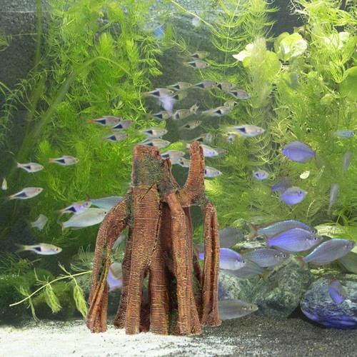 Acquario per pesci - ,
