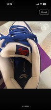 Nike Dunk Low Sb 