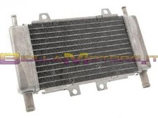 Mf29 509 radiatore racing - mf29.509,