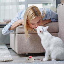 6 Pcs Gioco Interattivo