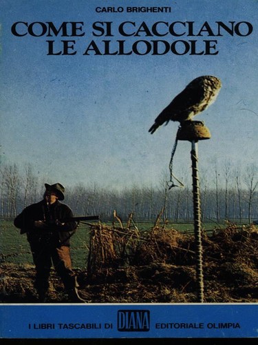 Come cacciano allodole - come,