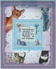 A0584- GUINEA, ERROR, MIPERF souvenir s: 2013 gatti, persiani, Birmania, abissini