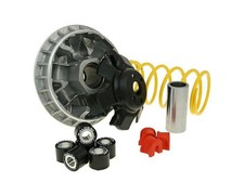 Variatore MALOSSI Multivar