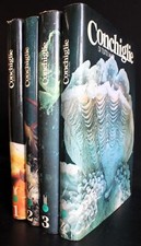 CONCHIGLIE DI TUTTI I MARI. 4