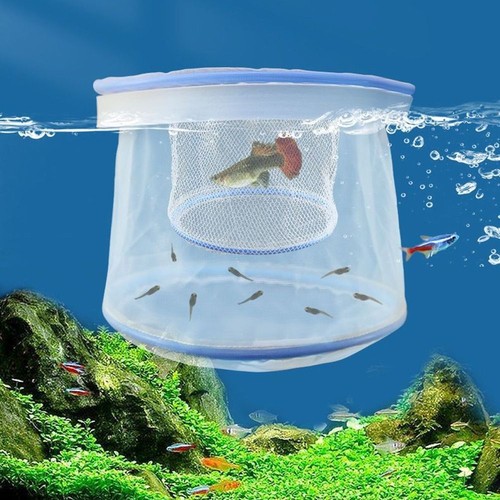 Rete allevamento guppy - rete,